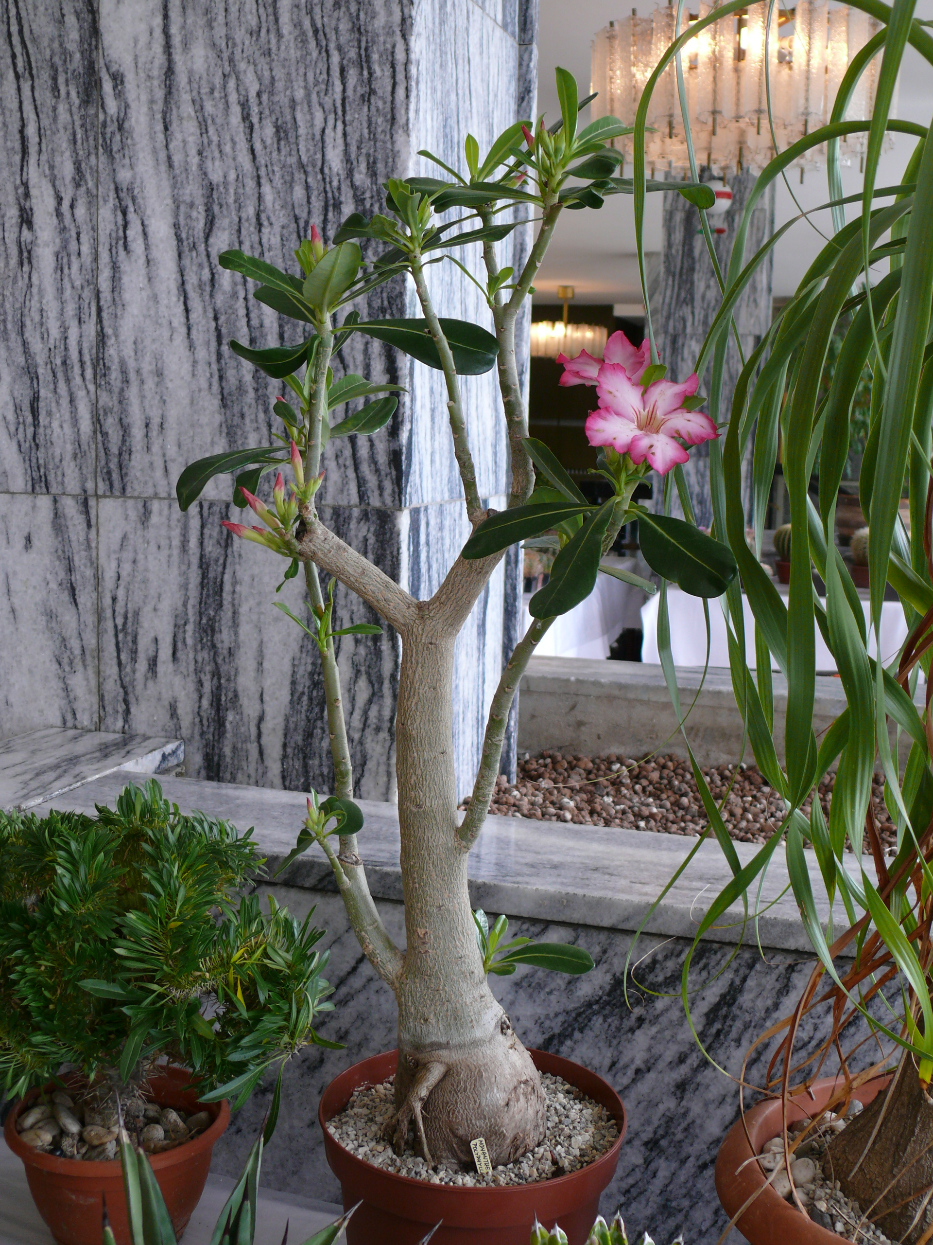 P1150633