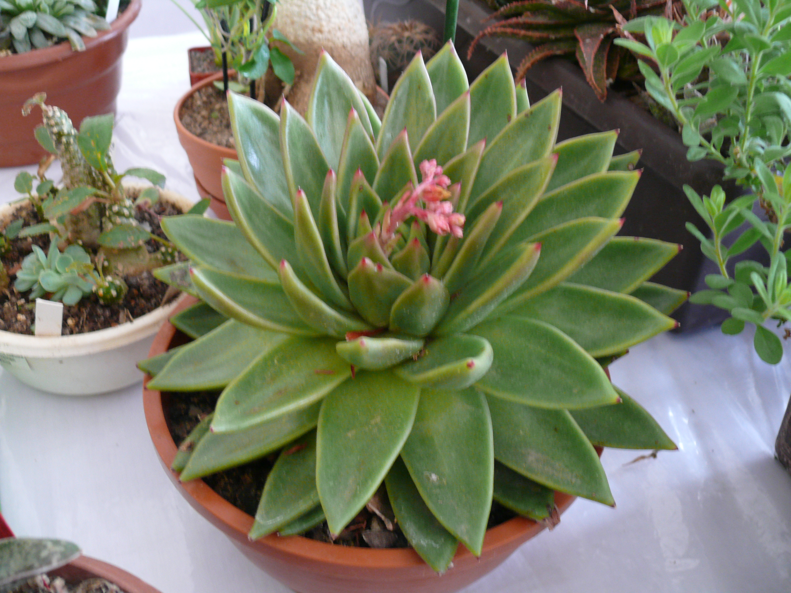 P1150630