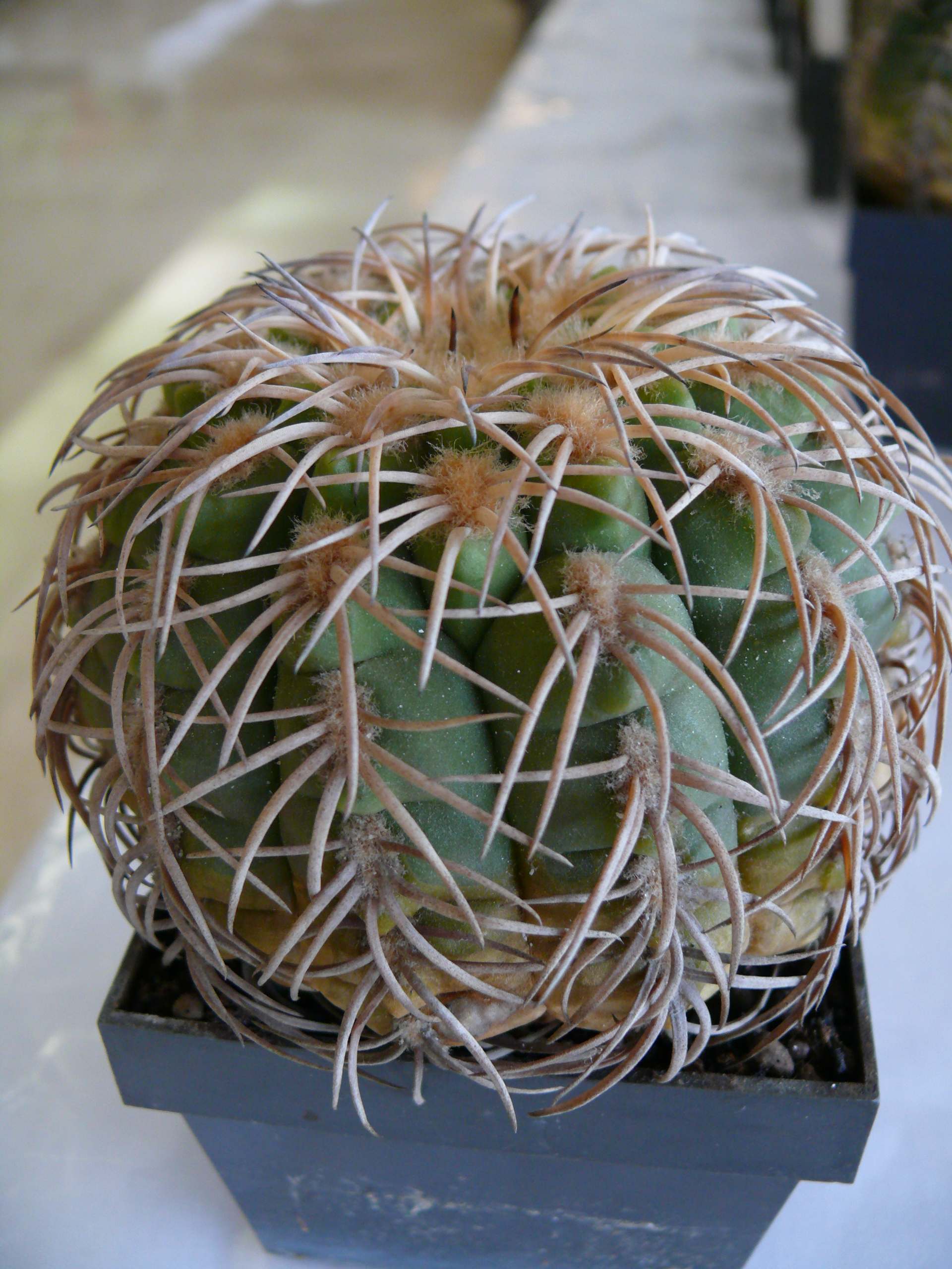 P1150202