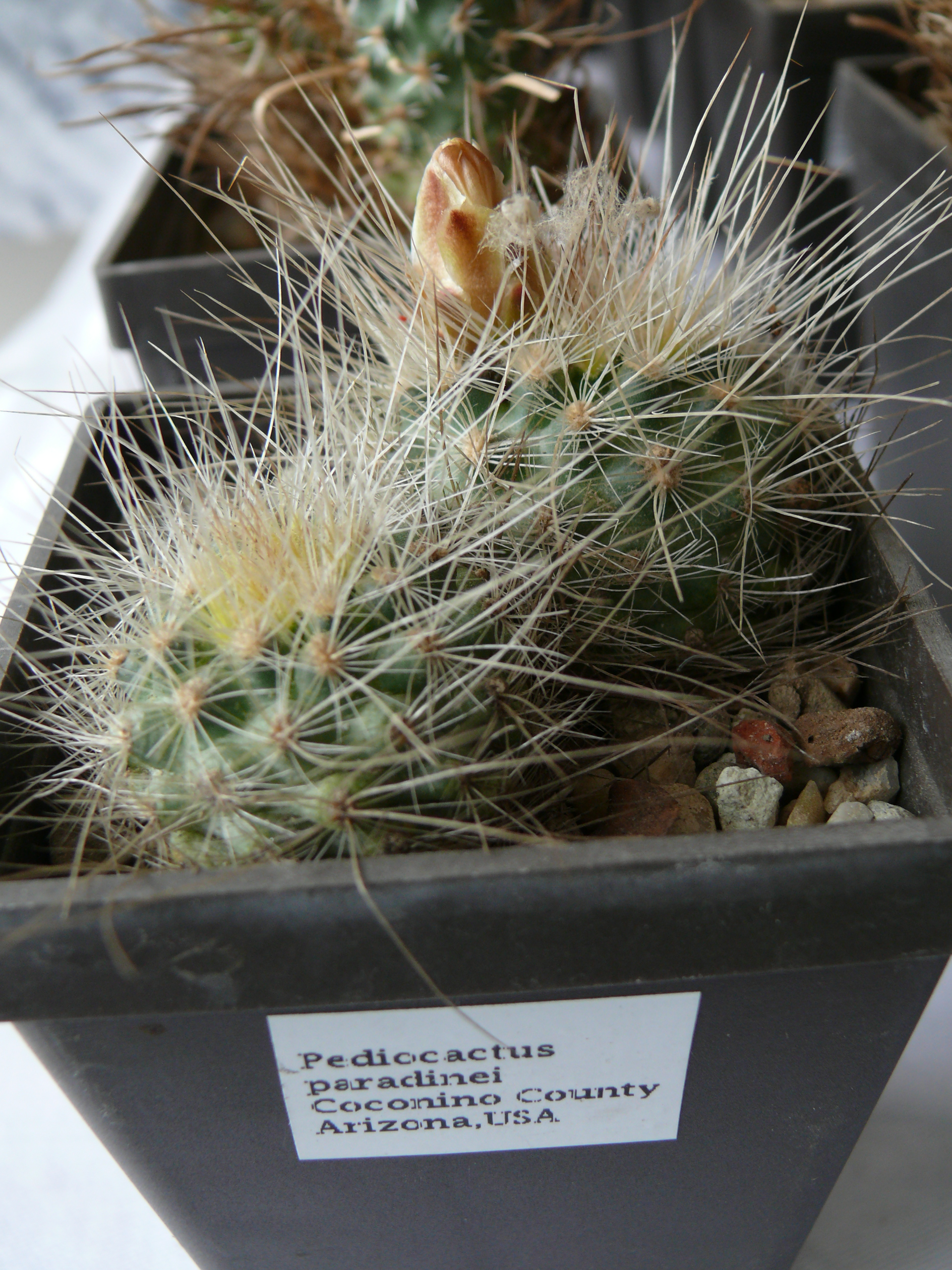 P1150238