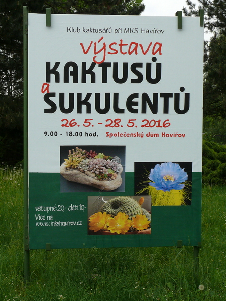 P1100154