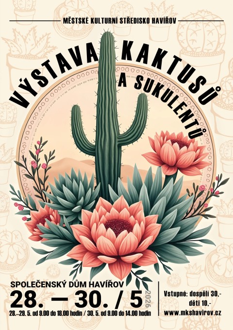 kaktusy.jpg