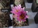 DSCF3082